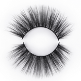 Lash and Applicator Combo